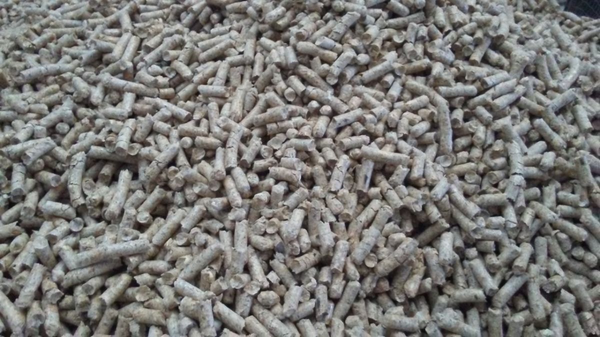 Pellet a Cuneo e in Piemonte: cosa sapere prima di scegliere una fornitura