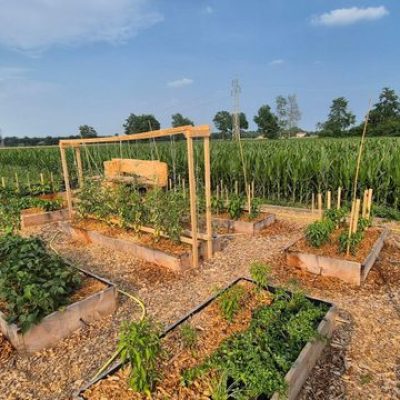 NEW IMBALLAGGI G. & G._25