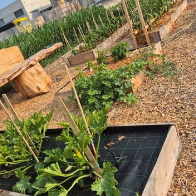 NEW IMBALLAGGI G. & G._26