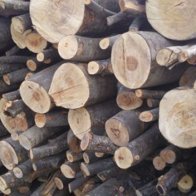 NEW IMBALLAGGI G. & G._48